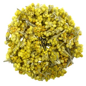Immortelle Everlasting Flowers Loose Herb - Helichrysum Arenarium