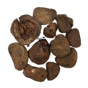 Dried Kola Nut Halves Cola Nut - Cola Nitida