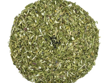 Scutellaire d'Amérique Scutellaria Laretiflora Tisane en tiges lâches