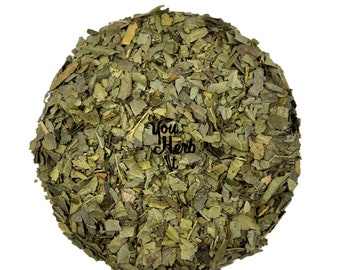 Tisane Boldo Feuilles Feuilles Séchées - Peumus Boldus