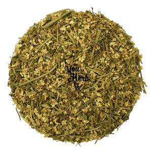 Elderflower Elder Flowers - Sambucus Nigra