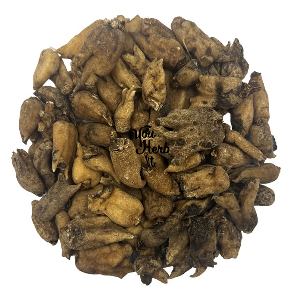 Salep Salepi Orchid Dried Root - Orchis Mascula