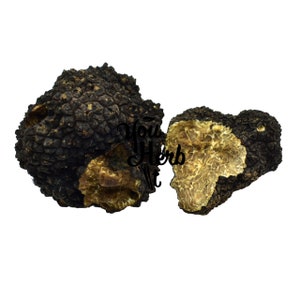 Fresh Black Summer Truffles Whole - Tuber Aestivum
