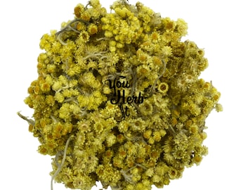 Immortelle Everlasting Flowers Loose Herb - Helichrysum Arenarium