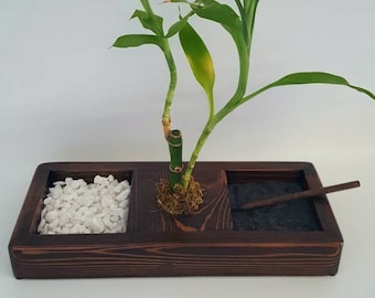 May include: A dark brown wooden planter with three compartments. The center compartment holds a small green plant with bamboo stalks. The left compartment is filled with white stones and the right compartment is filled with black sand. A small wooden stick is placed in the right compartment.