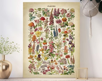 Botanical Flowers Poster,  Flowers Print, Botanical Print, Vintage Flowers Chart, Botanical Artwork, Botanical Poster, Adolphe Millot