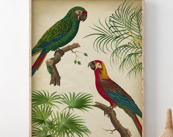 Tropischer Papagei Druck: Palme & Dschungel Wand Kunst