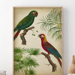 Tropical Palm and Parrot Print, Palm Tree Poster, Tropical Forest Poster, Jungle Decor, Palms Art, Parrot Wall Art, Tropical Bird