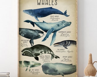 Watercolor Whales Poster: Nautical Sea Life Art Print