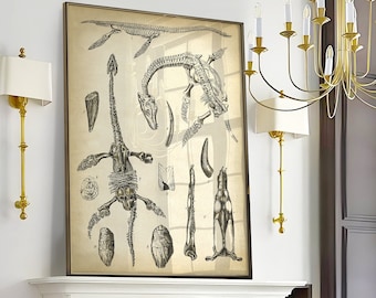 Impresión de esqueleto de reptil prehistórico, póster de fósil de paleontología, arte de pared de anatomía de dinosaurio vintage, dibujo, animal científico