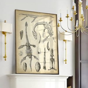 Prähistorisches Reptilskelett Poster, Paläontologie Fossilien Poster, Vintage Dinosaurier Anatomie Wandkunst, Zeichnung, Wissenschaft Tier