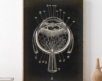 Eye Anatomy Poster: Scientific Illustration, Medical Art Print