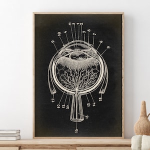 Oog anatomie poster, oogbol grafiek, wetenschappelijke illustratie, anatomische tekening, anatomie print, medische kunst, arts fast track verzending