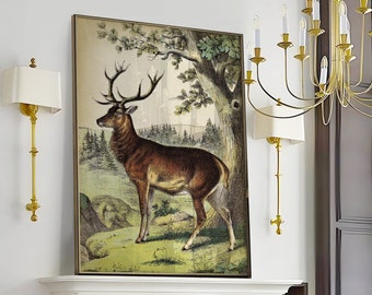 Impresión de ciervos, cartel de paisaje de ciervos bucólicos, pintura de animales del bosque, estética vintage, casa de otoño, decoración de pared rústica
