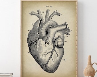 Heart Anatomy Print: Aged Scientific Illustration, Medical Art