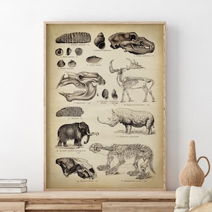 Prehistorische dierenposter, fossiel printdecor, dinosaurusskelet, primitieve dieren, antediluviaanse fossielen, oude wereld, paleontologiewetenschap