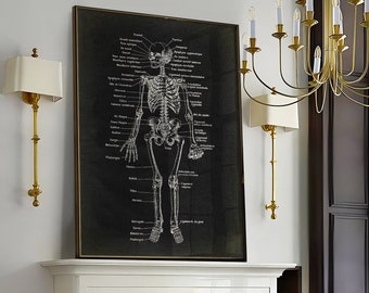 Skeleton Anatomy Art Print: Vintage Science Chart on Black