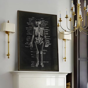 Skelet anatomie print op zwart, anatomie kunstposter, wetenschappelijke grafiek, medische anatomische tekening kunst aan de muur