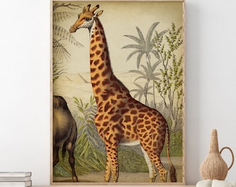 Impression girafe vintage : oeuvre d'art murale animaux d'Afrique