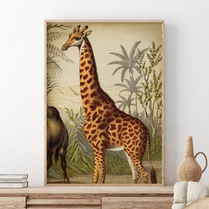 Giraffe print, Amazing Vintage Style GIRAFFE Poster, African Giraffe Drawing, Animal wall decor, Wild Animal Art Fast Track Shipping