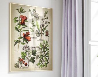 Póster vintage de flores y frutas botánicas: Impresión de gráfico científico