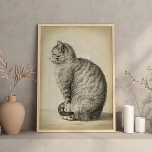 Cat Art Print, Sitting Cat, Pencil Drawing of a Cat Side, Vintage Style, Domestic Cat, Domestic Animal, Aged Cat Illustration Wall Art image 2