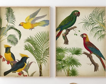 Tropisches Vogel Print Set: Jungle Palm Tree Art