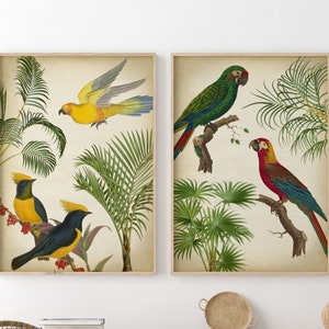 Tropical Print SET of 2, Tropical Jungle Palms and Birds Poster, Palm Tree, Exotic Bird Print, Bird Poster, Jungle Forest