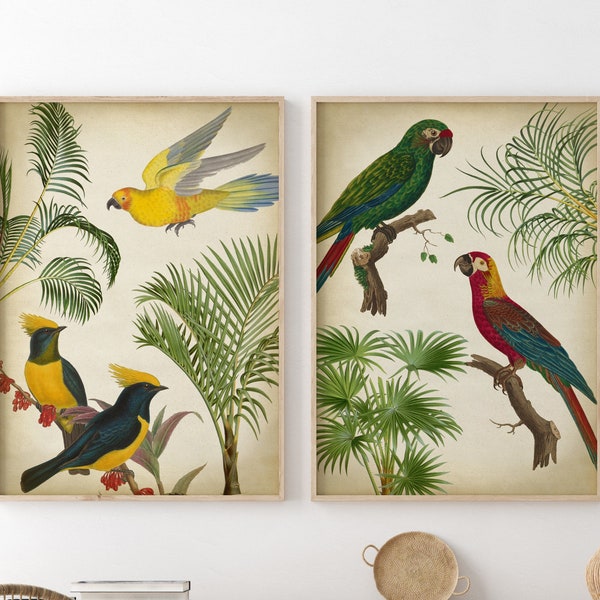 Tropischer Druck 2er SET, Tropische Dschungelpalmen und Vögel Poster, Palme, Exotischer Vogel Druck, Vogel Poster, Dschungelwald