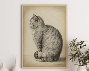 Cat Art Print, Sitting Cat, Pencil Drawing of a Cat Side, Vintage Style, Domestic Cat, Domestic Animal, Aged Cat Illustration Wall Art