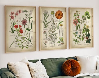 Botanical print set of 3, vintage flowers gallery wall posters, matching prints, Medicinal Plants, Gardening artwork, calendula, Geranium