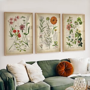 Botanical print set of 3, vintage flowers gallery wall posters, matching prints, Medicinal Plants, Gardening artwork, calendula, Geranium