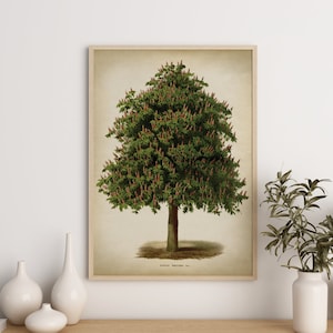 Leafy Tree Botanical poster, green tree art print, flowering tree poster, spring nature wall art, botanical print Fast Track Shipping,