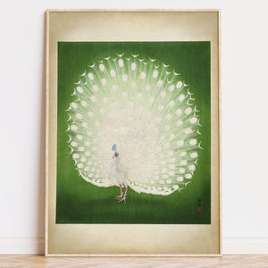Japanese White Peacock Art Print, White Bird Art, Japanese Wood Block, Ohara Coson Illustration, Japanese Wall Art Fast Track Shipping