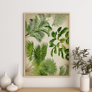 Big leaves of palm tree art Print, botanical green plants poster, Jungle Forest Poster, Exotic tropical wall art, greenery decor