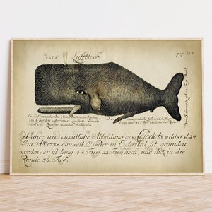 Poster showing a reproduction of an old whale print engraving, there is decorative handwritten text in German