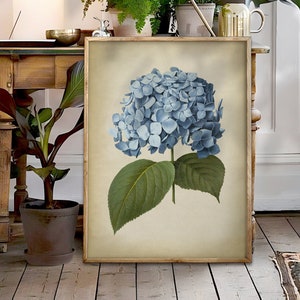 Blue Hydrangea art print, Hydrangea poster, Hydrangea print, rustic wall art, cottage home decor, Botanical art
