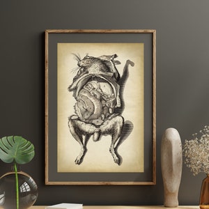 Può includere: Un'illustrazione anatomica vintage di un coniglio con i suoi organi interni esposti. Il coniglio è raffigurato in posizione eretta con le zampe divaricate. L'illustrazione è in bianco e nero ed è stampata su carta color crema.