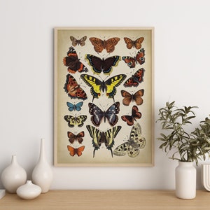 Butterfly poster, Butterfly print, butterflies wall decor, scientific butterflies chart, vintage butterfly Fast Track Shipping