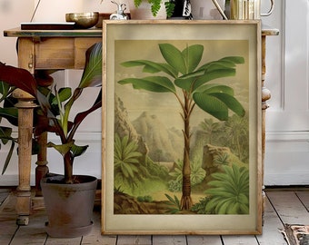 Könnte beinhalten: Eine gerahmte botanische Illustration einer Palme in einer üppigen, grünen tropischen Landschaft. Der Druck ist in einem hellbraunen Holzrahmen und wird auf einem Holztisch mit anderen Pflanzen ausgestellt.