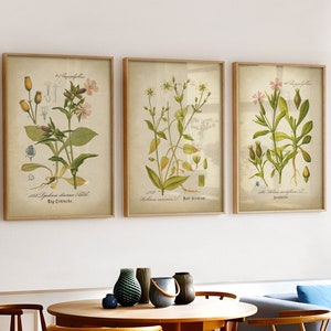 Botanische print set van 3, botanische set, vintage bloemenprint set, botanische poster, botanische muurkunst, gele en roze bloemen