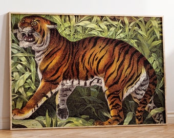 Impresión de tigre, increíble cartel de tigre de estilo vintage, dibujo de gato salvaje, decoración de pared de animales de la selva del tigre, arte animal, envío rápido