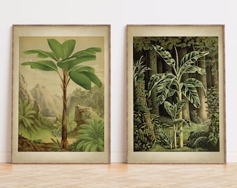 Palm Tree Print Set: Vintage Tropical Botanical Art