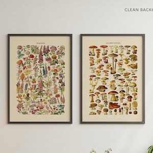 Botanical Print SET of 2, Botanical Poster, Flowers Poster, Mushroom Print, Multicolored Flowers, Vintage Botanical  Art Adolphe Millot