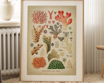 Coral Reef Art Print: Vintage Scientific Illustration, Marine Coastal Decor