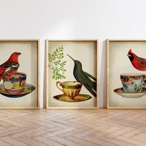 Conjunto de impresión de aves de 3, pájaros en una taza de té, póster de aves, taza de té y pájaro, desayuno con taza de café, ilustración de aves, arte de aves