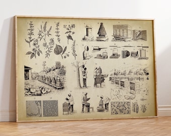 Póster de APICULTURA, Impresión de gráfico de apicultor, Ilustración de arte apícola, Arte mural de miel de abeja, Plantas de miel, Colmena, Arte de colmena