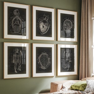 Anatomy print Set of 6 Art Prints, Poster in Aged Vintage Black, vintage aesthetic, Medical wall art, Skeleton, Human Body, Heart, Brain
