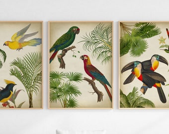 Tropical Birds Print Set: Exotic Parrot, Toucan, Palm Tree Art