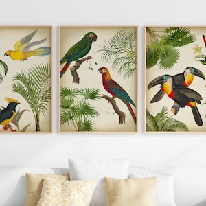 Stampa di uccelli e palme tropicali SET di 3, Uccelli esotici, Flora della fauna tropicale, Stampa pappagallo, Stampa tucano, Arte della parete con palme. Spedito l'art